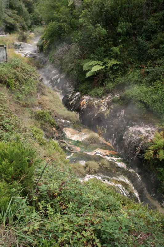 Nieuw-Zeeland 2011 - 0720